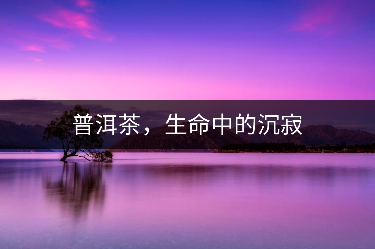 普洱茶，生命中的沉寂