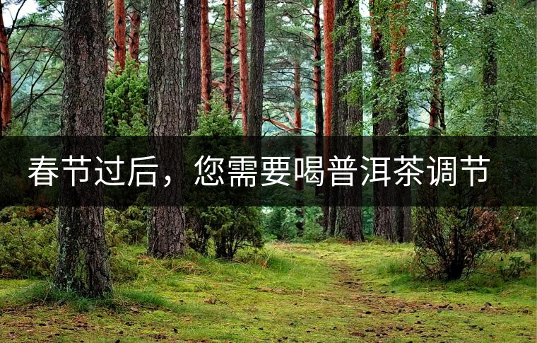 春節(jié)過后,您需要喝普洱茶調(diào)節(jié)身體 春節(jié)過后,您需要喝普洱茶調(diào)節(jié)身體