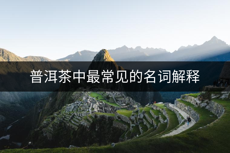 普洱茶中最常見的名詞解釋 普洱茶中最常見的名詞解釋