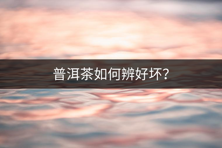 普洱茶如何辨好壞？