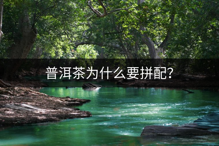 普洱茶為什么要拼配? 普洱茶為什么要拼配?
