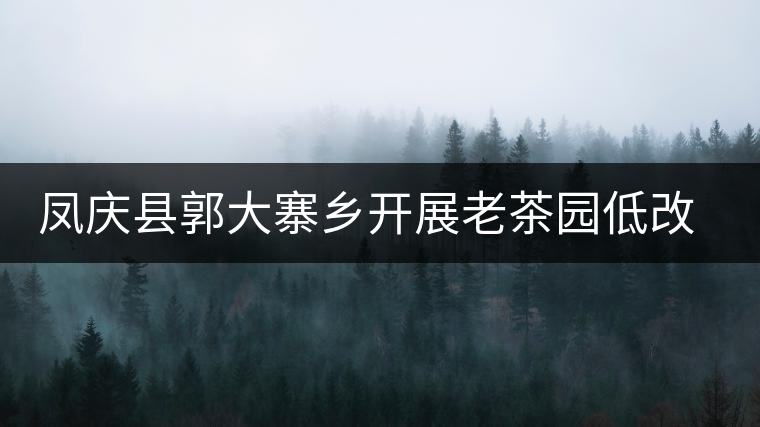 鳳慶縣郭大寨鄉(xiāng)開展老茶園低改促進(jìn)茶園提質(zhì)增效 鳳慶縣郭大寨鄉(xiāng)開展老茶園低改促進(jìn)茶園提質(zhì)增效