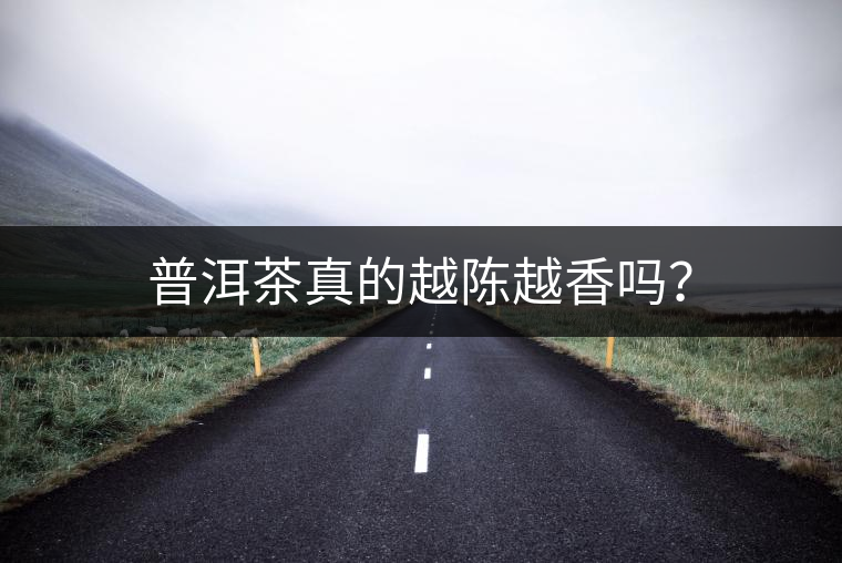 普洱茶真的越陳越香嗎？