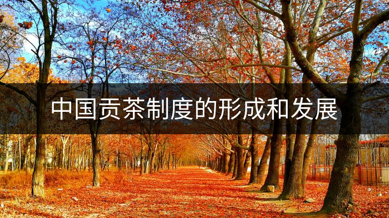 中國(guó)貢茶制度的形成和發(fā)展 中國(guó)貢茶制度的形成和發(fā)展