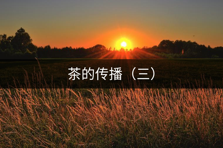 茶的傳播(三) 茶的傳播(三)