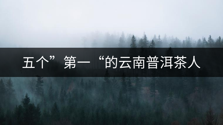 五個(gè)”第一“的云南普洱茶人 五個(gè)”第一“的云南普洱茶人