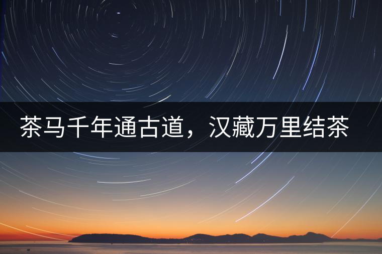 茶馬千年通古道，漢藏萬(wàn)里結(jié)茶緣