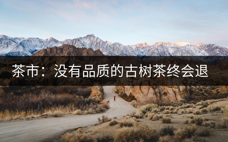 茶市:沒有品質(zhì)的古樹茶終會退出市場 茶市:沒有品質(zhì)的古樹茶終會退出市場