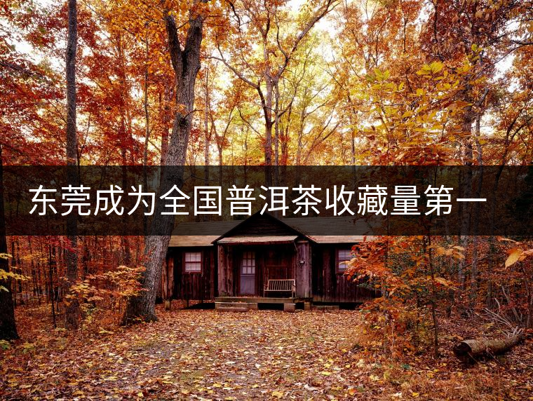 東莞成為全國普洱茶收藏量第一位的城市？