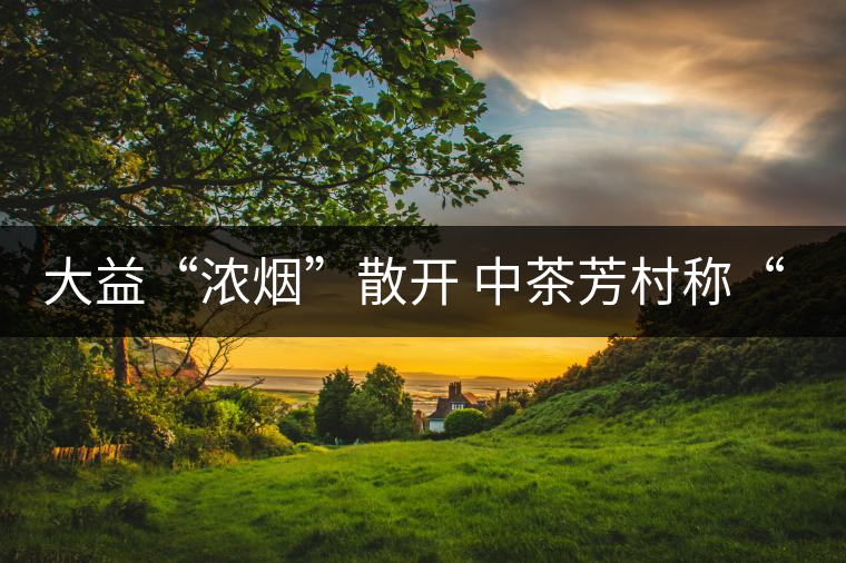 大益“濃煙”散開 中茶芳村稱“王”？