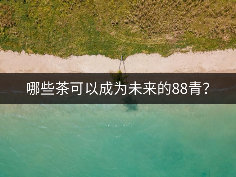 哪些茶可以成為未來的88青？
