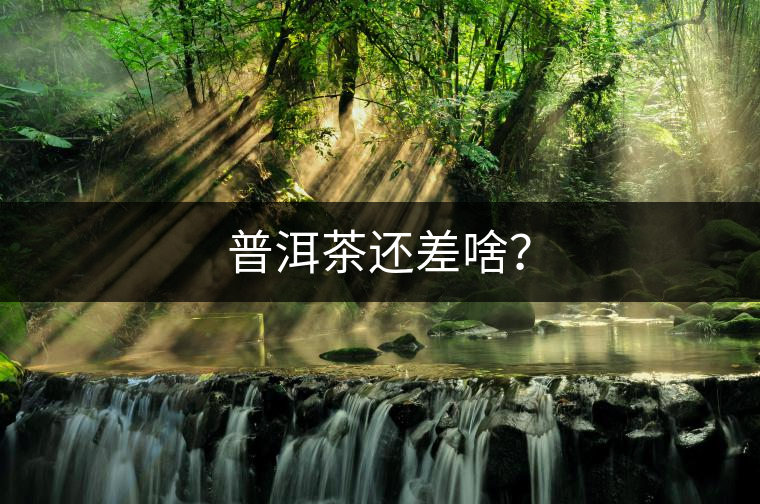 普洱茶還差啥？