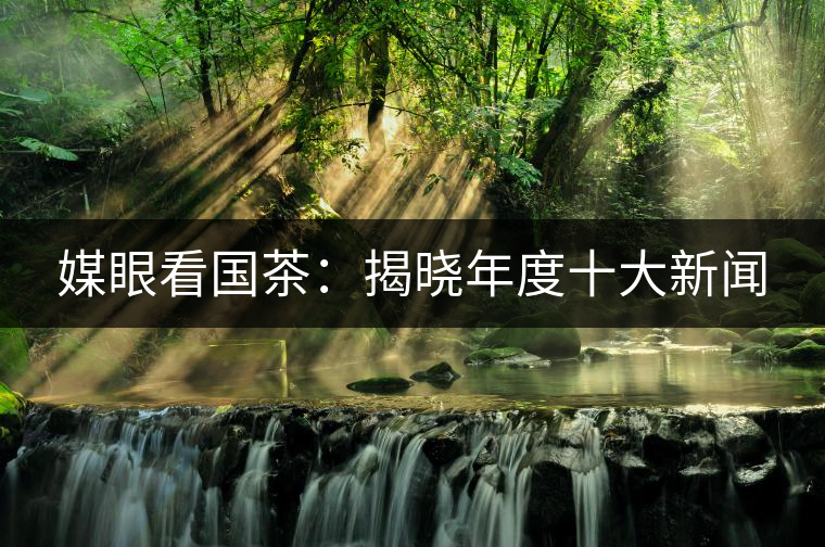 媒眼看國(guó)茶：揭曉年度十大新聞