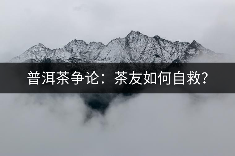 普洱茶爭論：茶友如何自救？