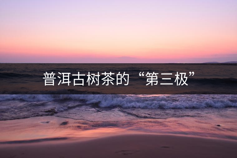 普洱古樹(shù)茶的“第三極”