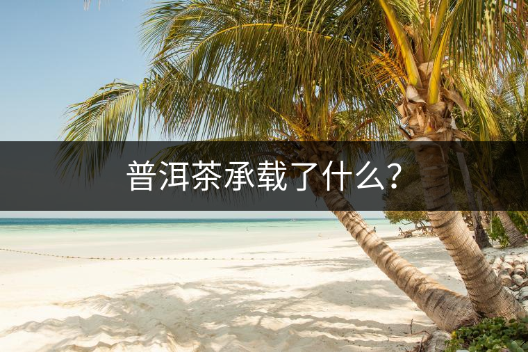 普洱茶承載了什么？