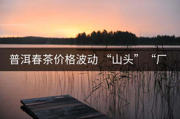 普洱春茶價(jià)格波動(dòng) “山頭”“廠貨”大不同——名山古樹(shù)  品的是歷史文化