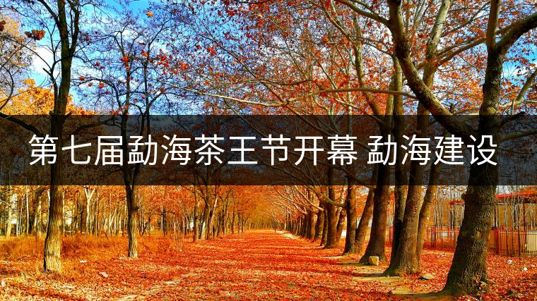 第七屆勐海茶王節(jié)開幕 勐海建設(shè)中國普洱茶第一縣