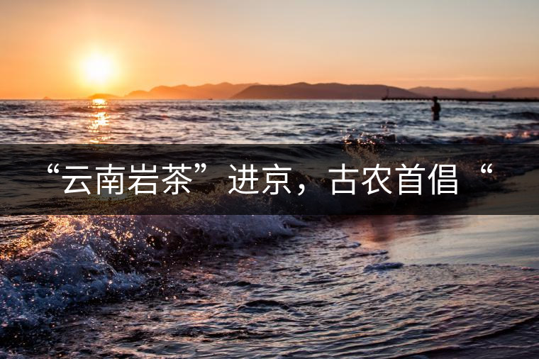 “云南巖茶”進京，古農(nóng)首倡“名茶+名企”戰(zhàn)略