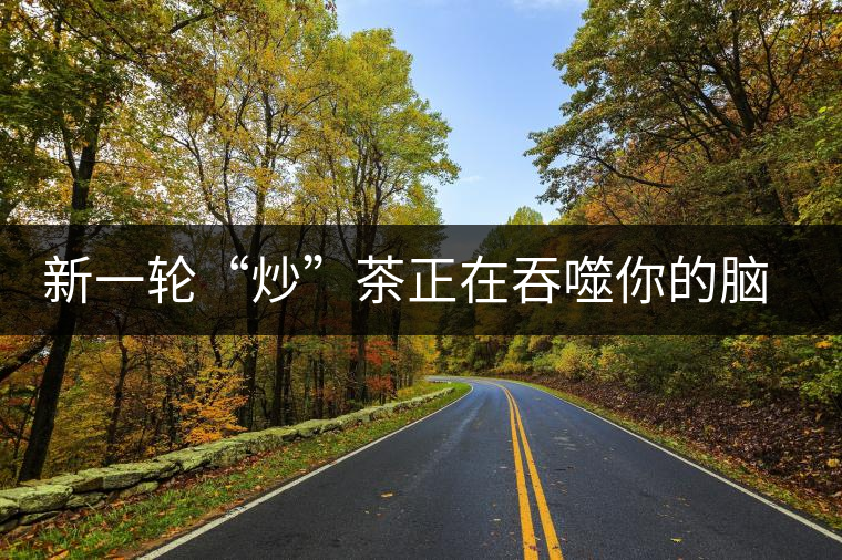 新一輪“炒”茶正在吞噬你的腦子，茶葉收藏不宜提倡