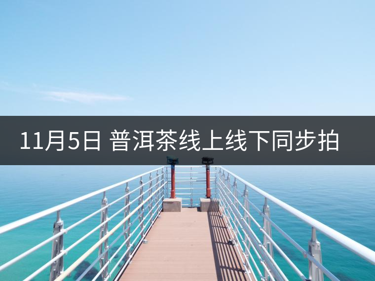 11月5日 普洱茶線上線下同步拍賣 11月5日 普洱茶線上線下同步拍賣