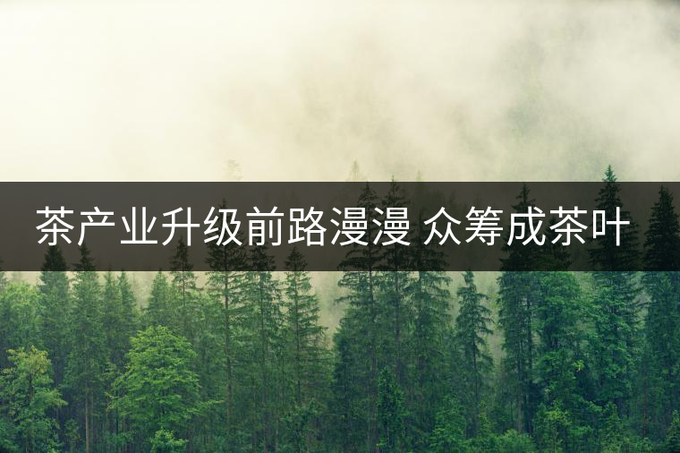 茶產(chǎn)業(yè)升級(jí)前路漫漫 眾籌成茶葉營(yíng)銷新寵