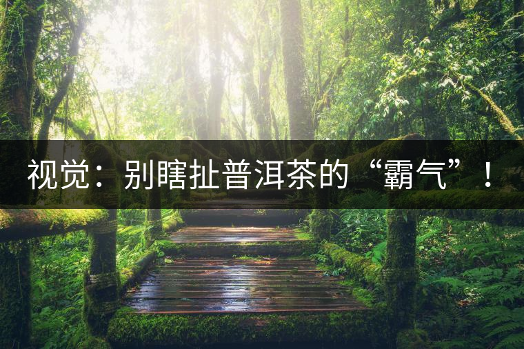 視覺：別瞎扯普洱茶的“霸氣”！偽大師！