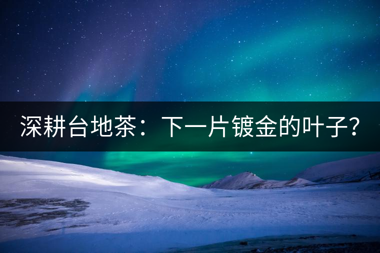 深耕臺(tái)地茶：下一片鍍金的葉子？