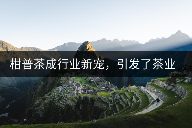 柑普茶成行業(yè)新寵，引發(fā)了茶業(yè)市場新的機遇與爆點