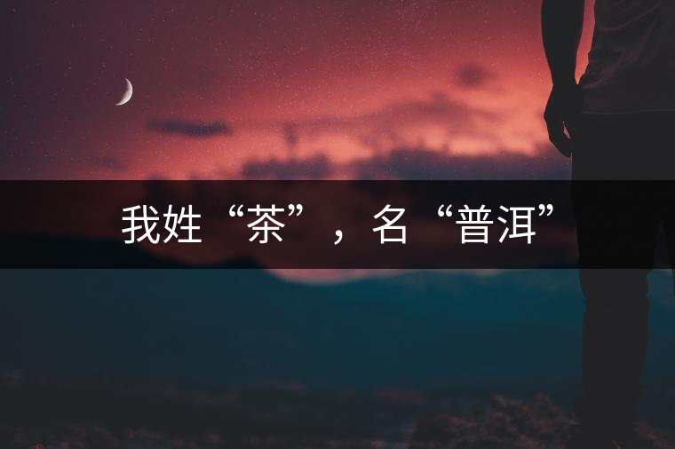 我姓“茶”，名“普洱”