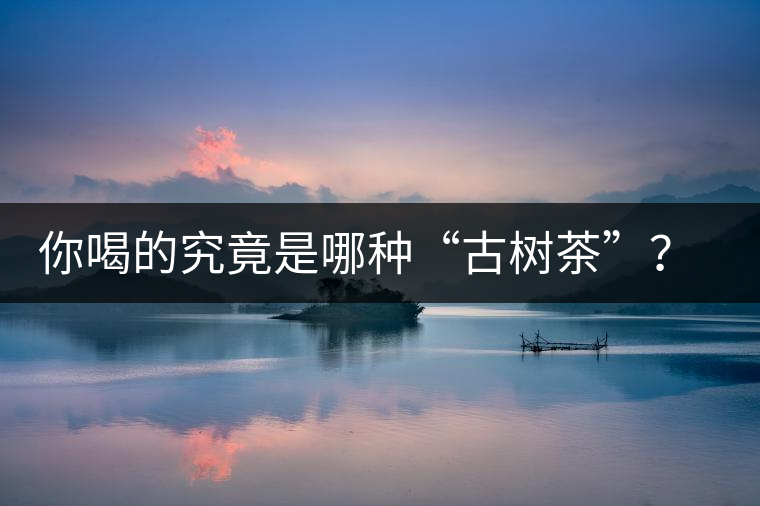 你喝的究竟是哪種“古樹茶”？（收茶必備知識）