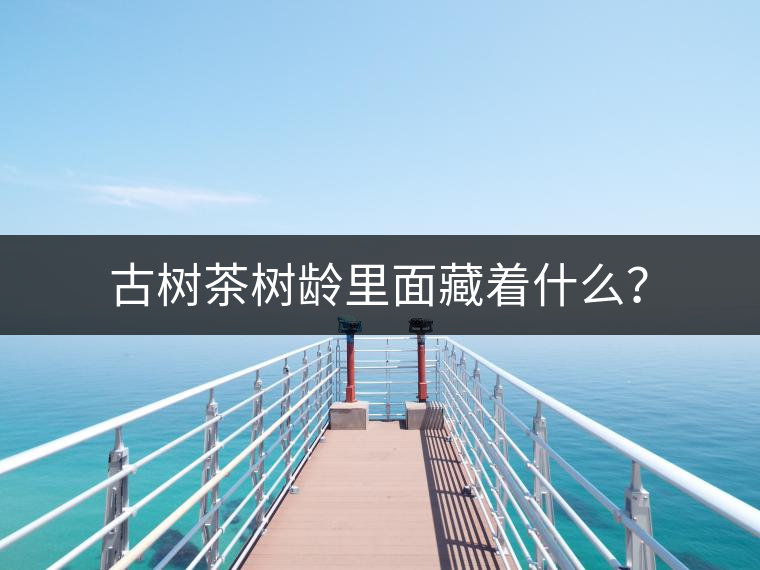 古樹茶樹齡里面藏著什么？