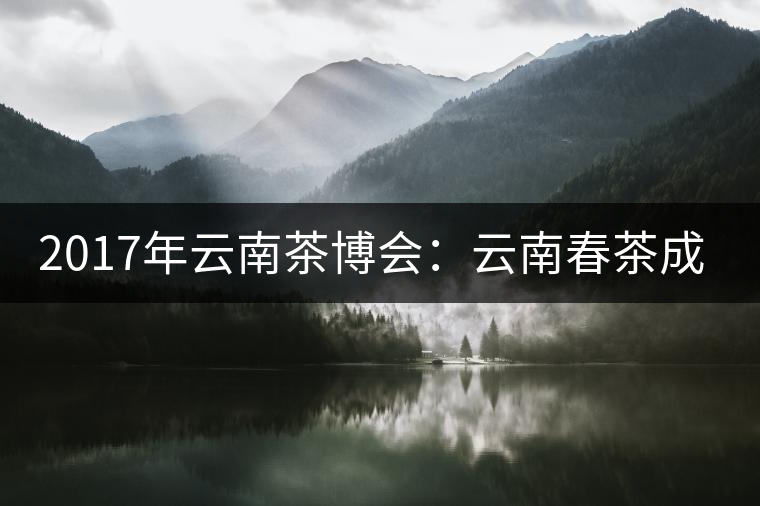 2017年云南茶博會(huì)：云南春茶成品茶價(jià)格上漲，平均每公斤達(dá)94.31元