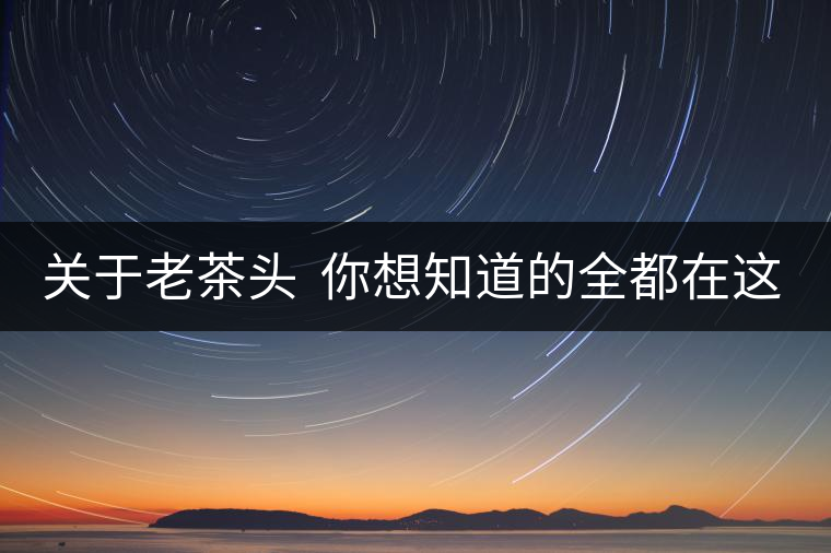 關(guān)于老茶頭  你想知道的全都在這兒啦！
