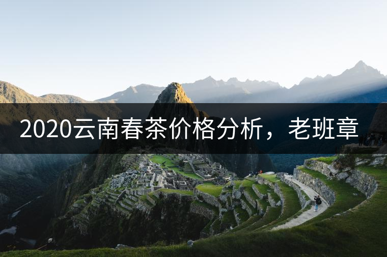 2020云南春茶價格分析，老班章依然將獨占鰲頭？