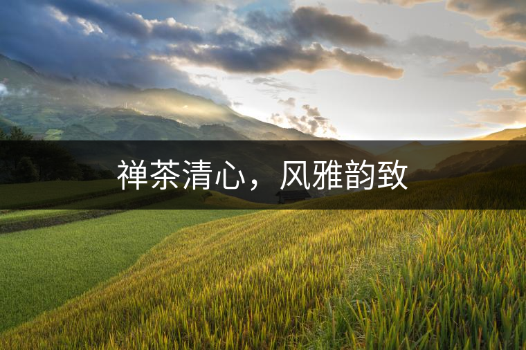 禪茶清心，風雅韻致