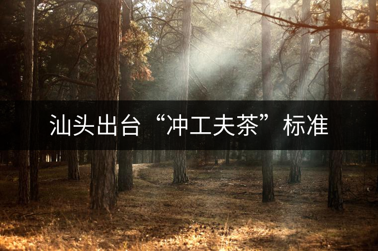 汕頭出臺(tái)“沖工夫茶”標(biāo)準(zhǔn) 汕頭出臺(tái)“沖工夫茶”標(biāo)準(zhǔn)