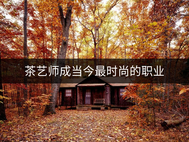 茶藝師成當今最時尚的職業(yè) 茶藝師成當今最時尚的職業(yè)