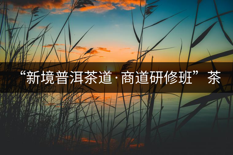 “新境普洱茶道·商道研修班”茶山考察--山中一棵樹(shù) 手里一杯茶