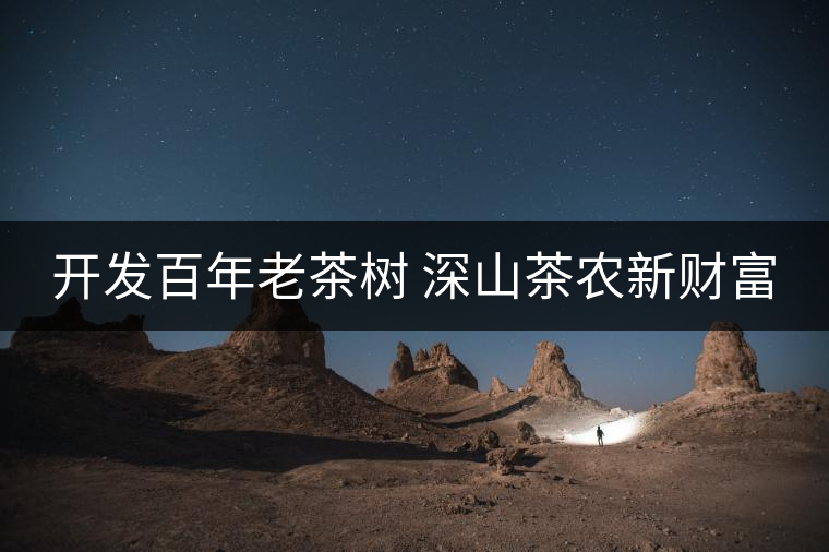 開發(fā)百年老茶樹 深山茶農(nóng)新財(cái)富 開發(fā)百年老茶樹 深山茶農(nóng)新財(cái)富