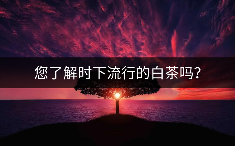 您了解時下流行的白茶嗎？