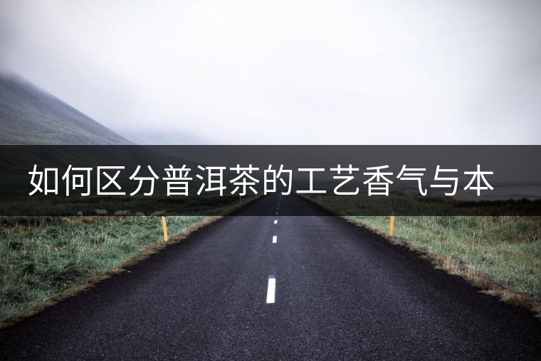如何區(qū)分普洱茶的工藝香氣與本質香氣