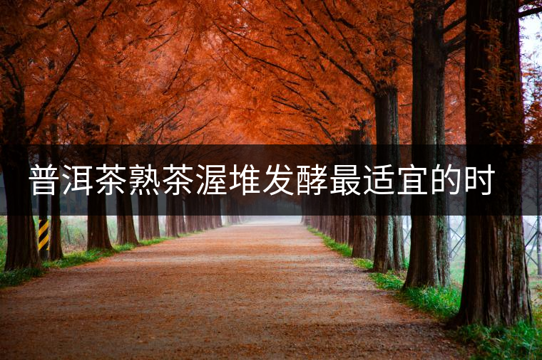 普洱茶熟茶渥堆發(fā)酵最適宜的時(shí)期是什么時(shí)候？