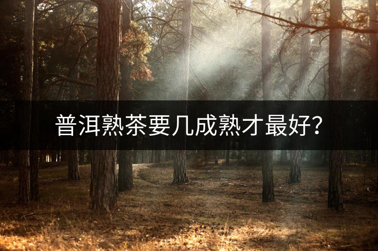 普洱熟茶要幾成熟才最好？