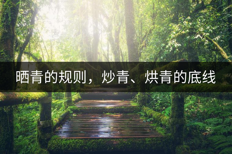 曬青的規(guī)則，炒青、烘青的底線