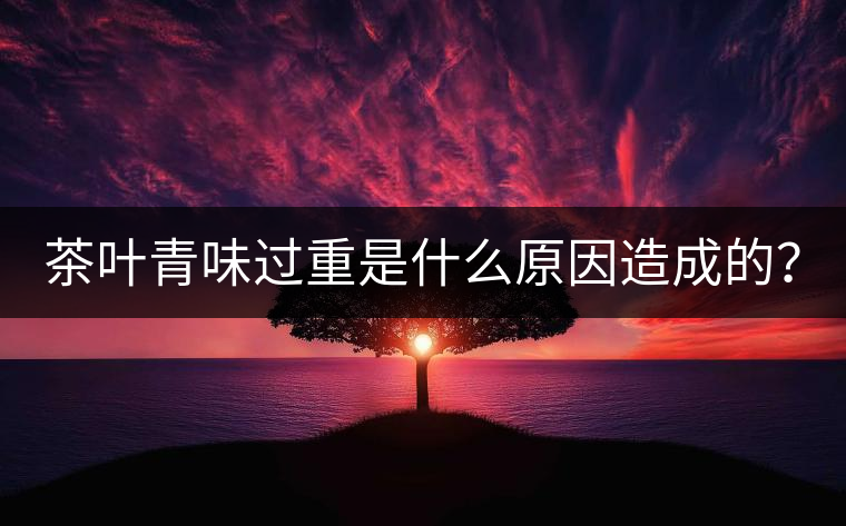 茶葉青味過重是什么原因造成的？
