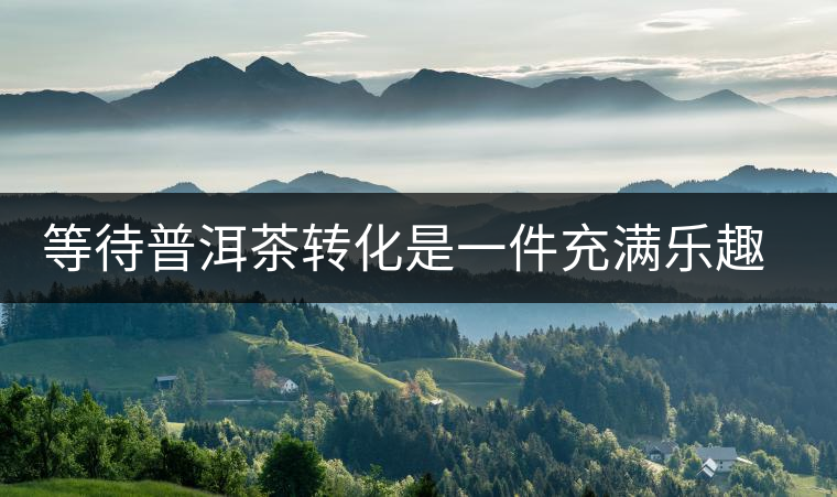 等待普洱茶轉(zhuǎn)化是一件充滿樂趣的事 等待普洱茶轉(zhuǎn)化是一件充滿樂趣的事