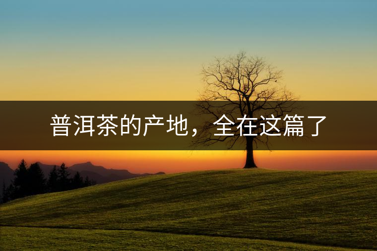 普洱茶的產(chǎn)地，全在這篇了