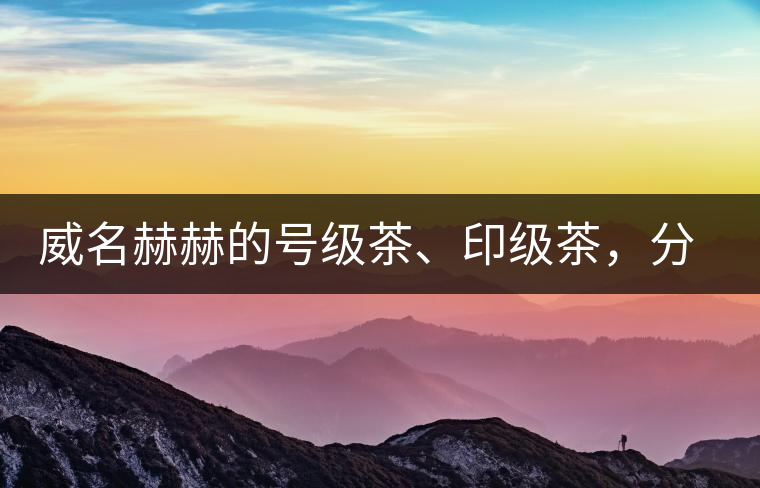 威名赫赫的號(hào)級(jí)茶、印級(jí)茶，分別是些什么普洱茶？