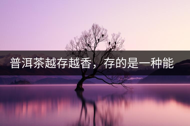 普洱茶越存越香，存的是一種能量